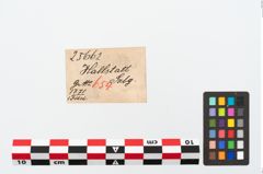 Etikett zu Bronzekahnfibel (NHMW-PRAE-025662)